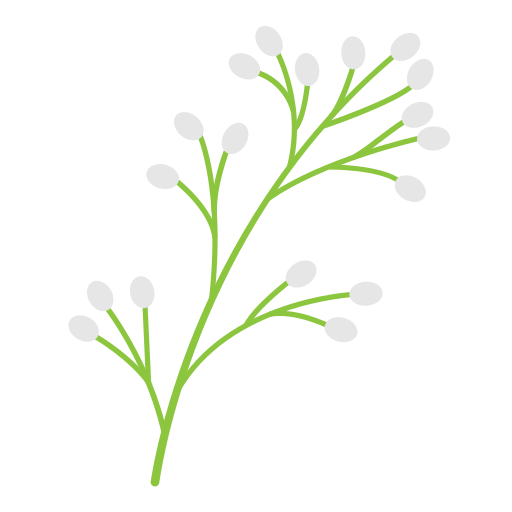 decoration